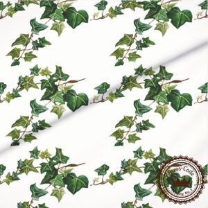 Bluszcz - Bawełna Premium